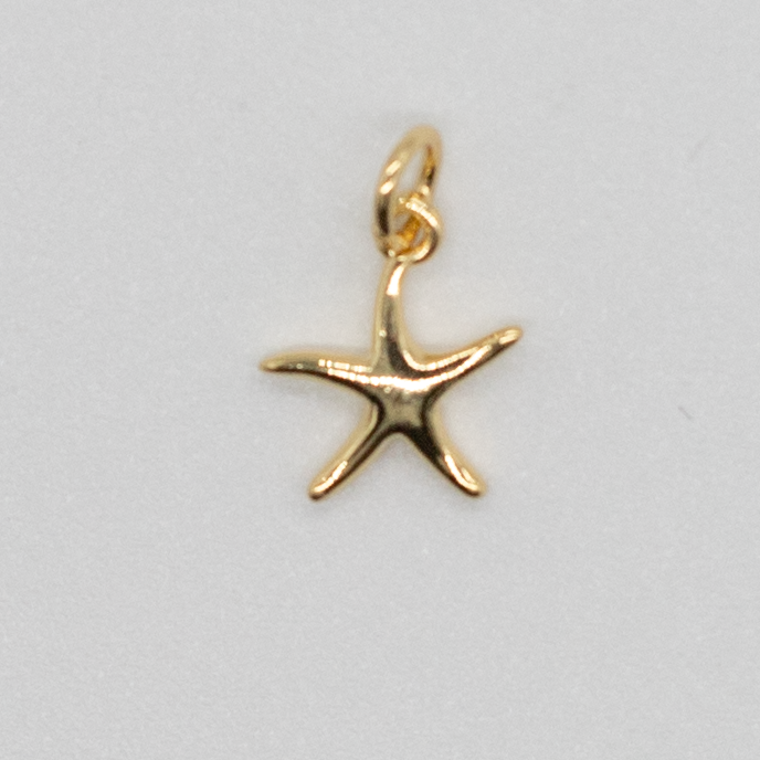 Star Fish