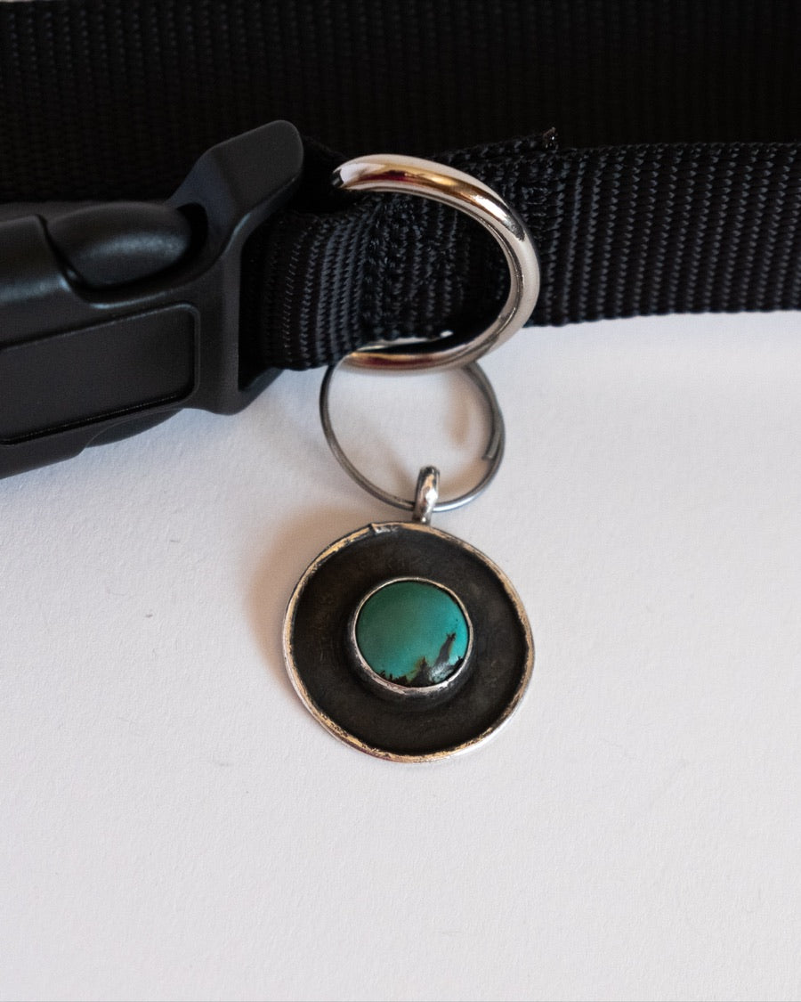 Turquoise Pet Tag
